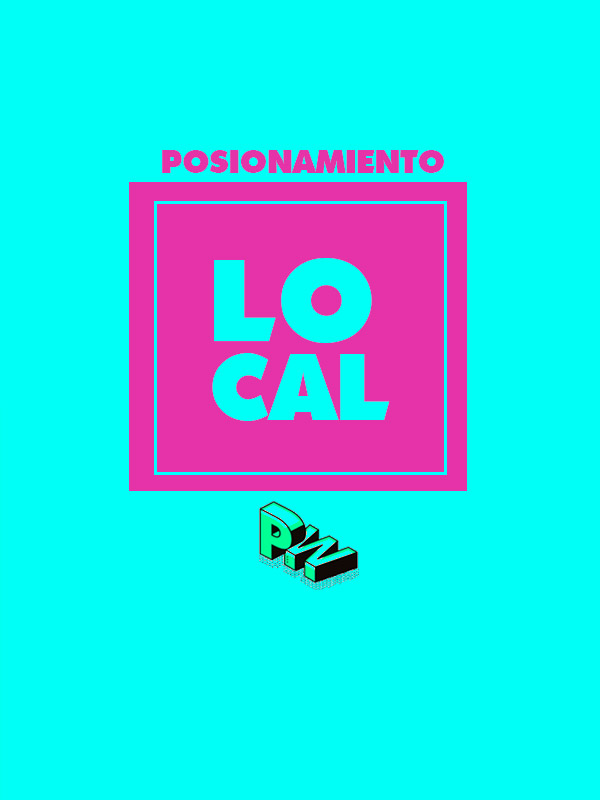Plan posicionamiento local PubliWeb - Hace que tu empresa se vea