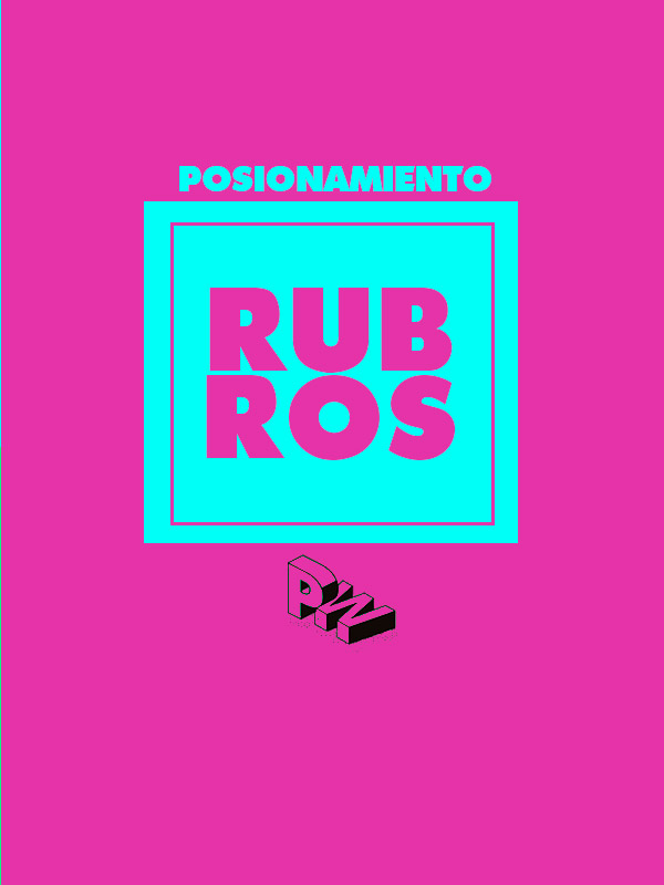 Plan posicionamiento Rubros PubliWeb